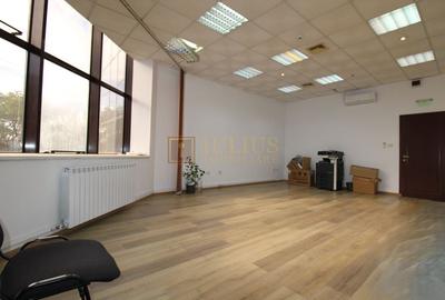 Cladirea Enel, 33 mp, Luminos. - 6