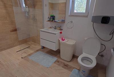 Casă cu 3 camere cu Teren 814 Mp în Sânandrei - 2