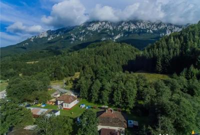 Spațiu comercial, de 980 mp, în Zărnești - 6