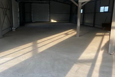 Hala Metalica Spa?iu Comercial Sud Bolintin Vale Giurgiu - 8