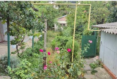 Teren de 343 mp, în Tei - 4