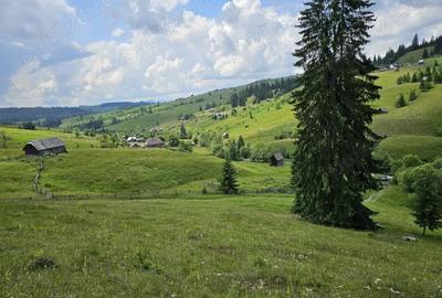 Teren de 36255 mp, în Breaza - 5