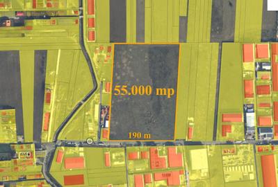 Teren Construcții intravilan de 10000 mp, în Nord-Vest - 3