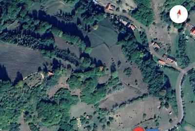 Teren de 10000 mp, în Paltin - 1