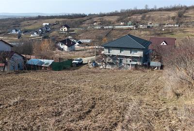 Teren Construcții intravilan de 3000 mp, în Bârnova - 13