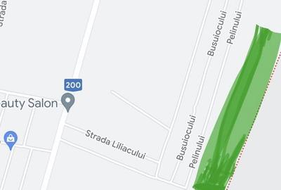 Teren de 18000 mp, în Dascălu - 1