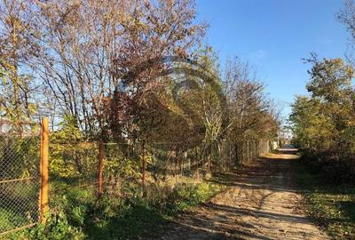 Teren de 12650 mp, în Ghirdoveni - 8