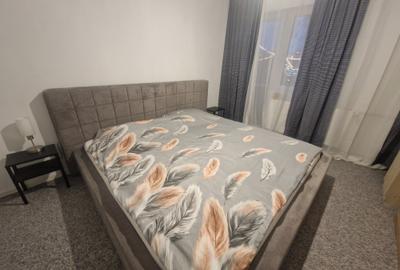 Peste drum de promenada râului Bega-cu vedere deschisa spre Parcul Catedralei - 1