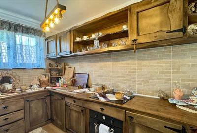 Refugiu pretios:jacuzzi, lemn masiv,2.000 mp teren,4 dormito - 2