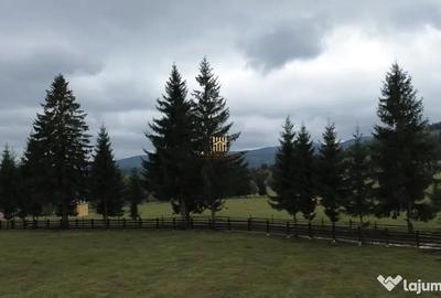 Teren de 16813 mp, în Fundu Moldovei - 6