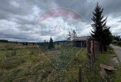 Teren 3,548mp, intravilan, Balcesti (Belis) - 1