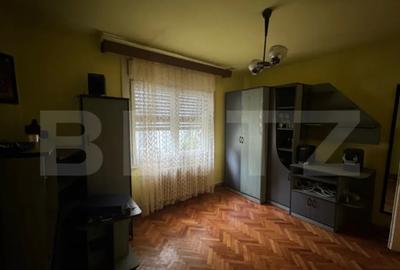 Casă cu 5 camere cu Teren 3000 Mp în Horea - 7