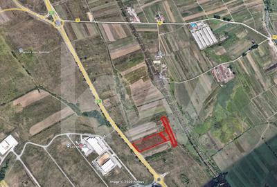 Teren Construcții extravilan de 16232 mp, în Șelimbăr - 11