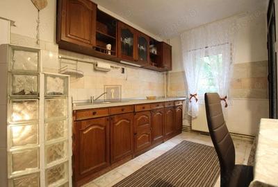 Aradului, 3 camere + 2 bai, centrala proprie, pet-friendly - 9