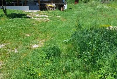 Casă cu Teren 2 Mp în Poieni (Densuș) - 3