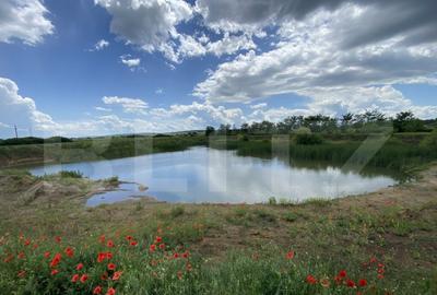 Teren extravilan 10000 mp, cu balta de peste, Salaj, Sarmasa - 3