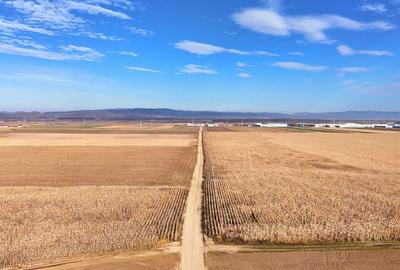 Teren de 324800 mp, în Prejmer - 6