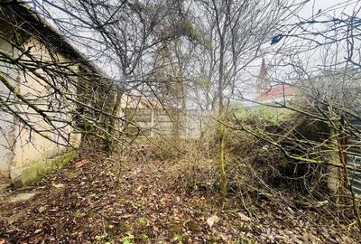 Casă cu teren de 1.463 mp în Ghizela, Timiș – Comision 0% - 4