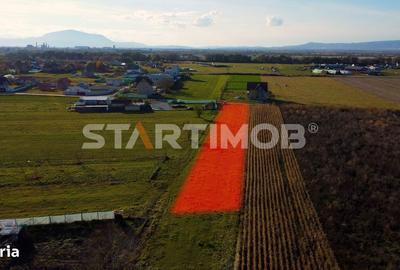 Teren de 3000 mp, în Bod - 9