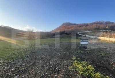 Teren generos 10 Ari, Zona VIlla Franca-ideal constructie casa - 1