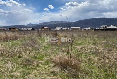Teren în Dumbrava - 5