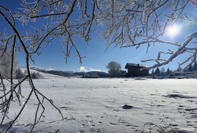 Teren satul Sirnea, intravilan, deschidere 120 m la drum asfaltat, - 7