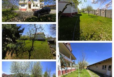 Vila 546 mp, teren 2000 mp si spatii de afacere, Magurele, Ilfov - 9