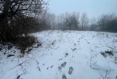 Spațiu comercial, în Central - 1