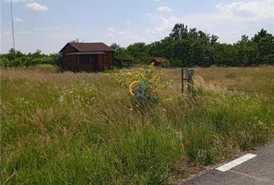 Teren  1700 mp, parcelabil, Albota Primarie, toate utilitatile - 2