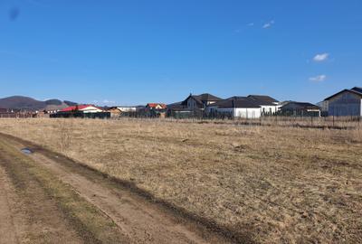 Teren Construcții intravilan de 435 mp, în Sânpetru - 5