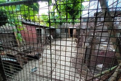 ID 9058 Casa zona CHERCEA, suprafata teren 595 mp - 5