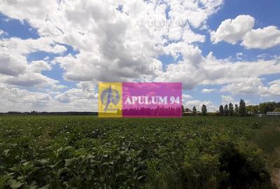 Teren 715mp in Snagov langa Equestria - 17