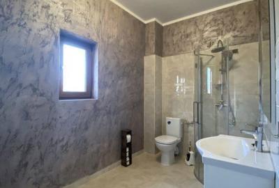 Casă cu 3 camere cu Teren 308 Mp în Sânandrei - 3