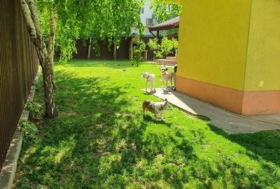 Casă cu 4 camere în Mamaia - 4