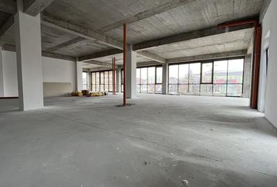 Spatiu Comercial-Birouri, 300mp, Et. 1, Cal. Torontalului - Bulevard! - 5