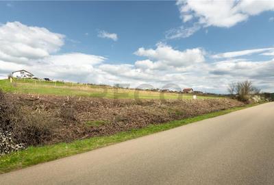 Teren de 2600 mp, în Cetariu - 5