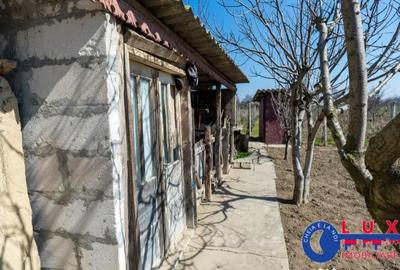 Casă cu 3 camere cu Teren 1461 Mp în Ceamurlia de Jos - 5