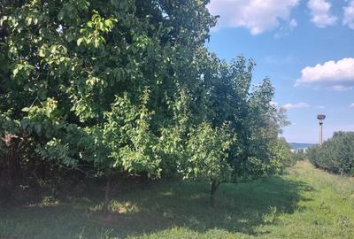 Teren Construcții intravilan de 5265 mp, în Teișani - 8