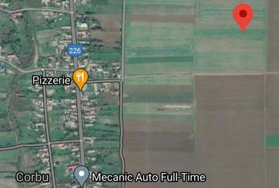 Teren de 5000 mp, în Central