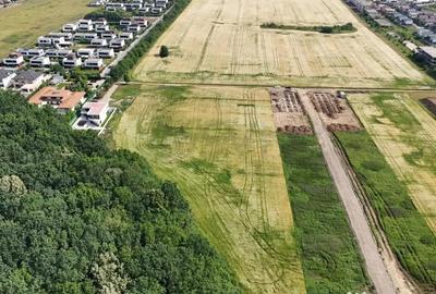 Teren de 9400 mp, în Tunari - 4