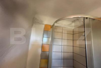 Casa tradi?ionala cu teren 4.500 mp ?i anexe gospodare? - 6