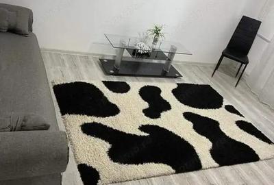 2 camere zona Aradului - 1