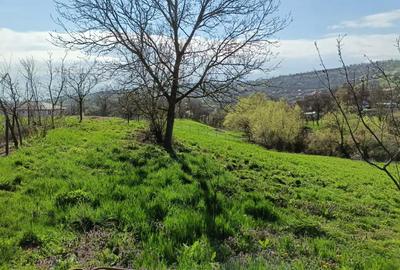 Casă cu 2 camere în Pădurenii (Tritenii de Jos) - 1