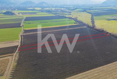 Teren extravilan in Sacele-3500mp, Comision cumparator 0% - 3