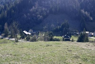 Spațiu comercial, în Pojorâta - 1