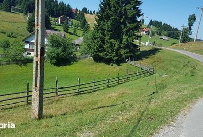 Teren de 7000 mp, în Fundata - 7