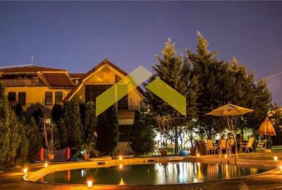 Casă individuală cu 15 camere cu Piscina în Micălaca - 22