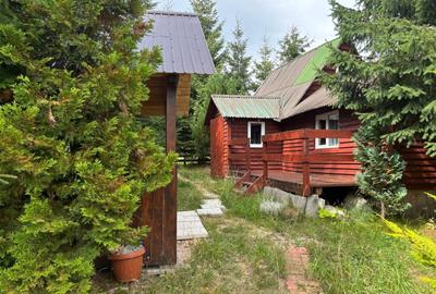 Casă cu 3 camere în Dosu Bricii - 8