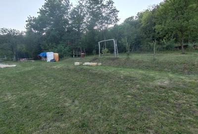 Casa tradi?ionala de vanzare cu 3600 mp - 8