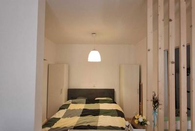 Apartament cu 2 camere nedecomandat în Tilișca - 5